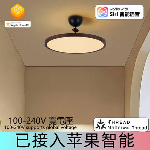 Matter苹果Homekit智能家居