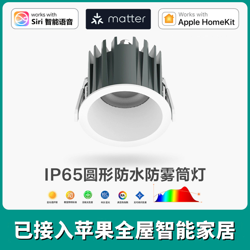 苹果Homekit家庭Matter防水筒灯