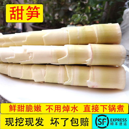 福建永泰新鲜去壳甜笋肉