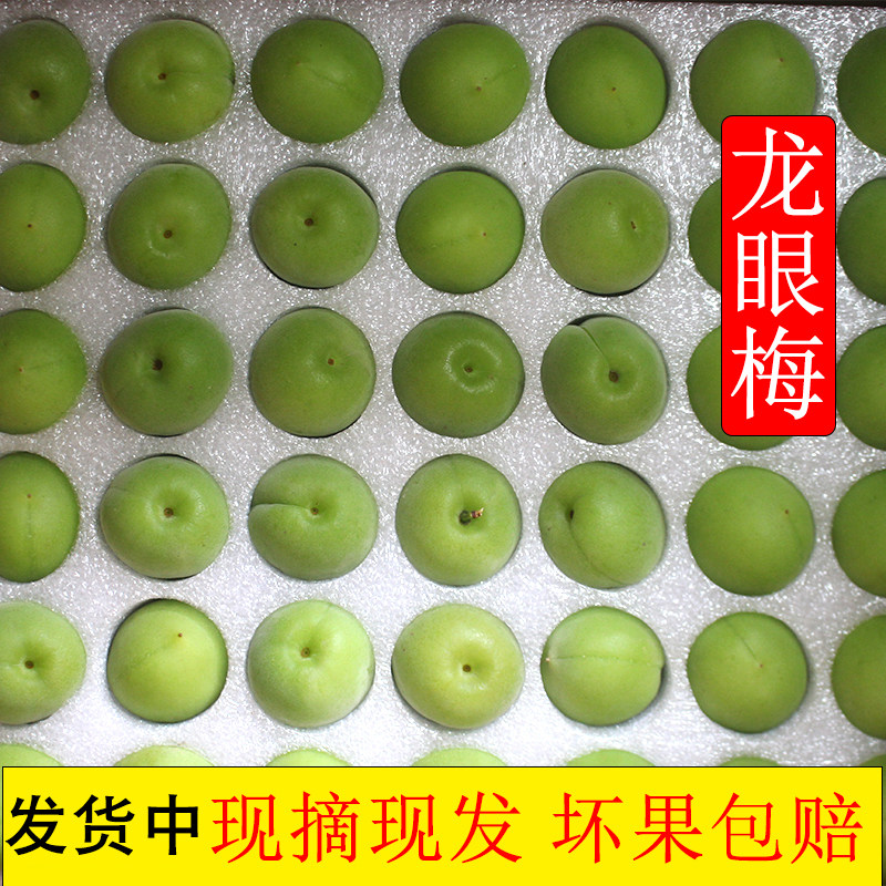 多顺亿青梅龙眼梅福建永泰梅子新鲜梅子鲜果酸梅子青梅泡酒做酵素