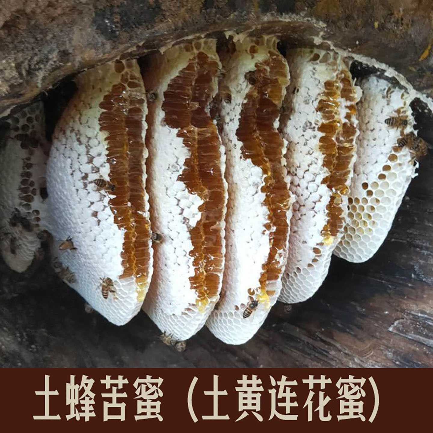 云南苦蜜野生蜂蜜 药花蜜 纯正天然百花蜜农家自产木桶土蜂蜜