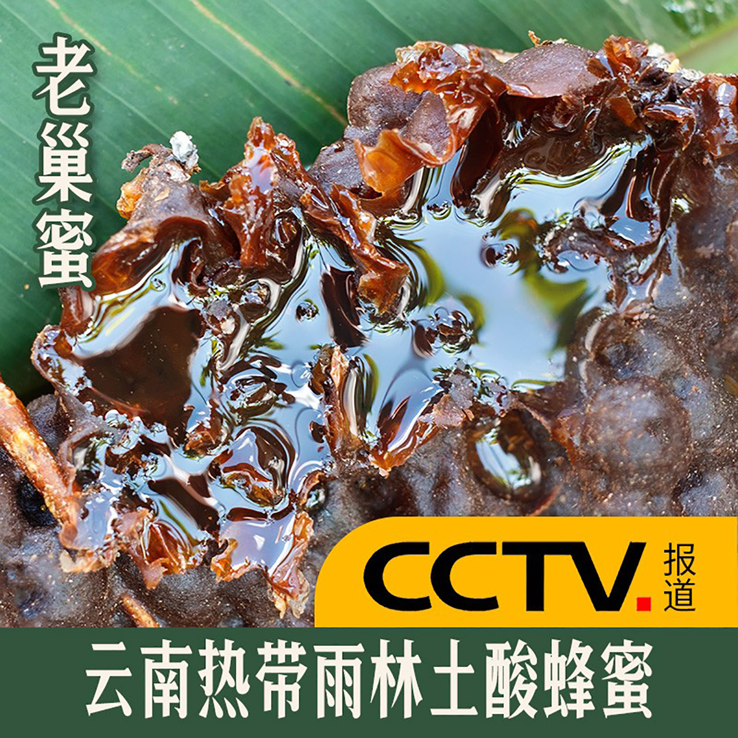 云南野生土酸蜂蜜原始森林纯正天然地下酸蜂蜜无刺蜂老巢蜜药花蜜