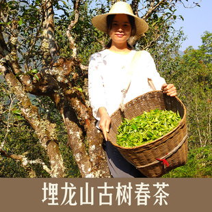 2022原生态古树茶老树生茶大树纯料晒青毛料早春普洱茶叶散茶绿茶