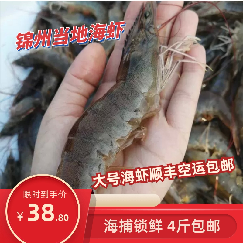 大号海虾锦州海虾纯海水每斤10只左右，拍4斤包邮 水产肉类/新鲜蔬果/熟食 冻虾 原图主图