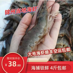 大号海虾锦州海虾纯海水每斤10只左右，拍4斤包邮