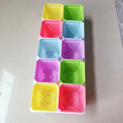 7厘米彩方盆10个加10格托架一个