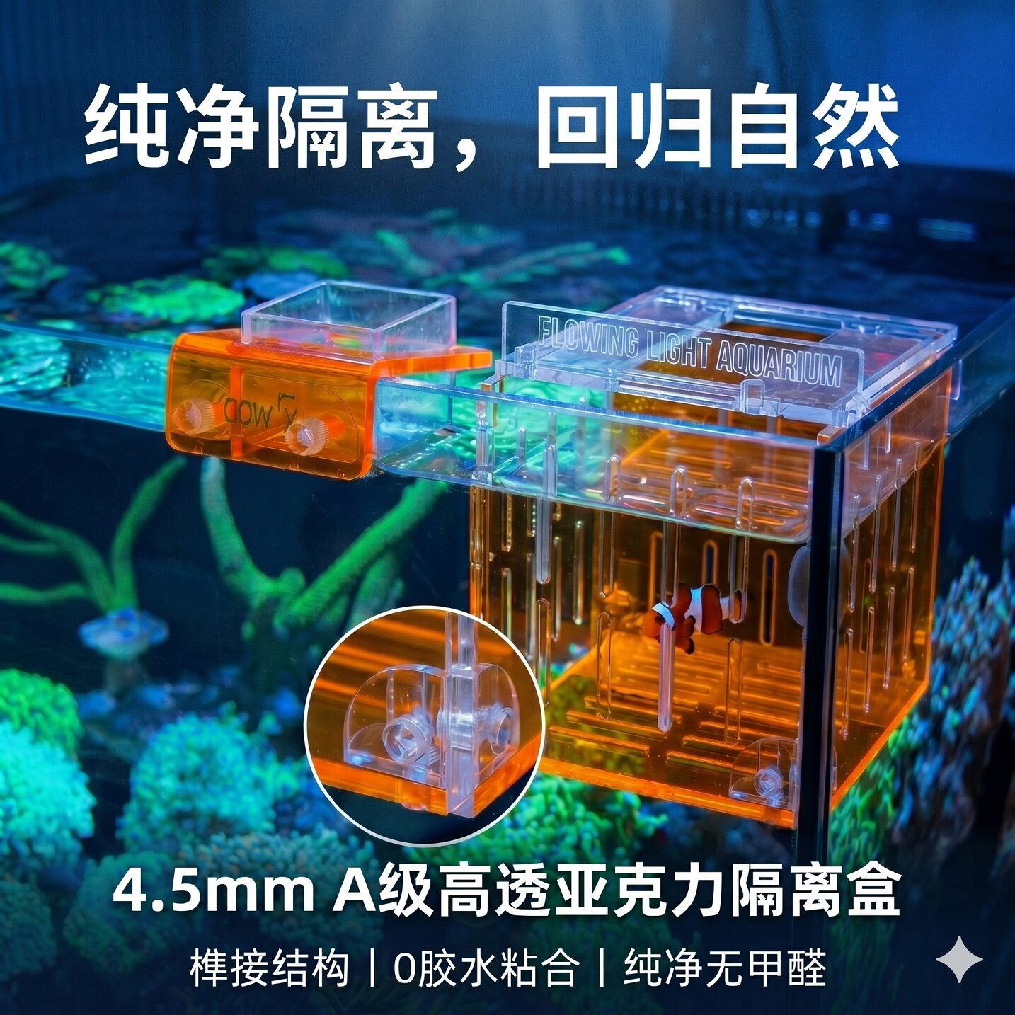 新款磁吸鱼缸海缸高荧光隔离盒加厚亚克力繁殖盒珊瑚小丑鱼孵化盒图片