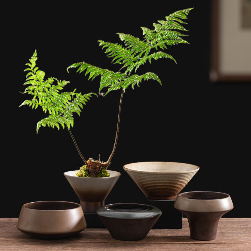 陶瓷花盆无孔苔藓球绿植蕨类水培器皿中式家用石斛兰花盆室内摆件
