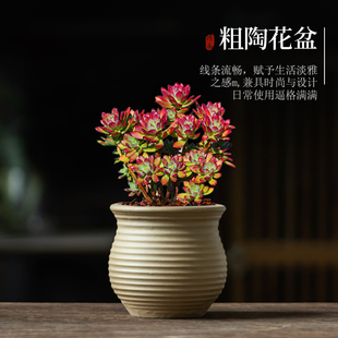 田园老桩多肉专用花盆透气粗陶瓷家用阳台肉肉有孔大小号盆罐带托