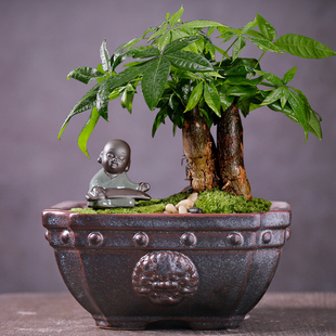 家用精品紫砂兰花花盆室内盆栽多肉绿植发财树简约桌面方形造景盆