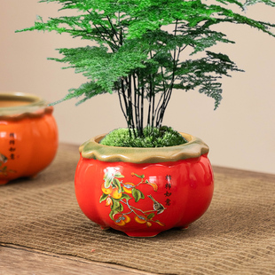 柿柿如意文竹专用花盆中式绿植家居透气陶瓷盆好柿成双栽桌面摆件