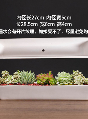 长方形多肉花盆陶瓷窄长条多肉阳台户外花卉简约白色
