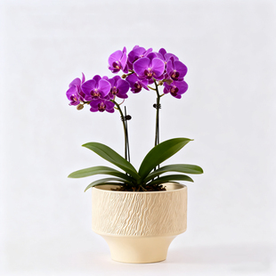 陶瓷花盆蝴蝶兰专用盆栽中式 饰盆景摆件 简约家用室内阳台桌面装
