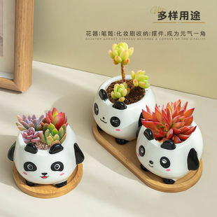 可爱熊猫多肉花盆家用桌面装 饰小动物小号带竹托卡通肉肉绿植陶瓷