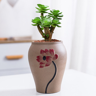 清仓创意个性 特价 复古粗陶透气陶瓷肉肉小号 包邮 简约多肉花盆老桩