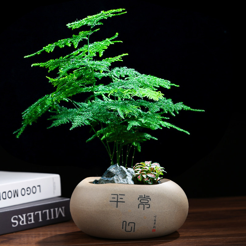 花盆盆景盆仿石头陶瓷个性中国风桌面绿植小文竹菖蒲专用大号云竹,鲜花速递/花卉仿真/绿植园艺,花盆,淘宝优惠券,粉丝福利购,淘宝优惠卷