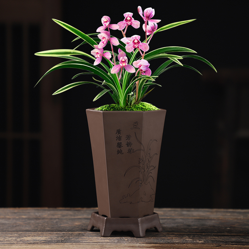 紫砂盆四方六方兰花盆菖蒲花卉绿植物盆栽大号多肉盆景栽盆带托盘