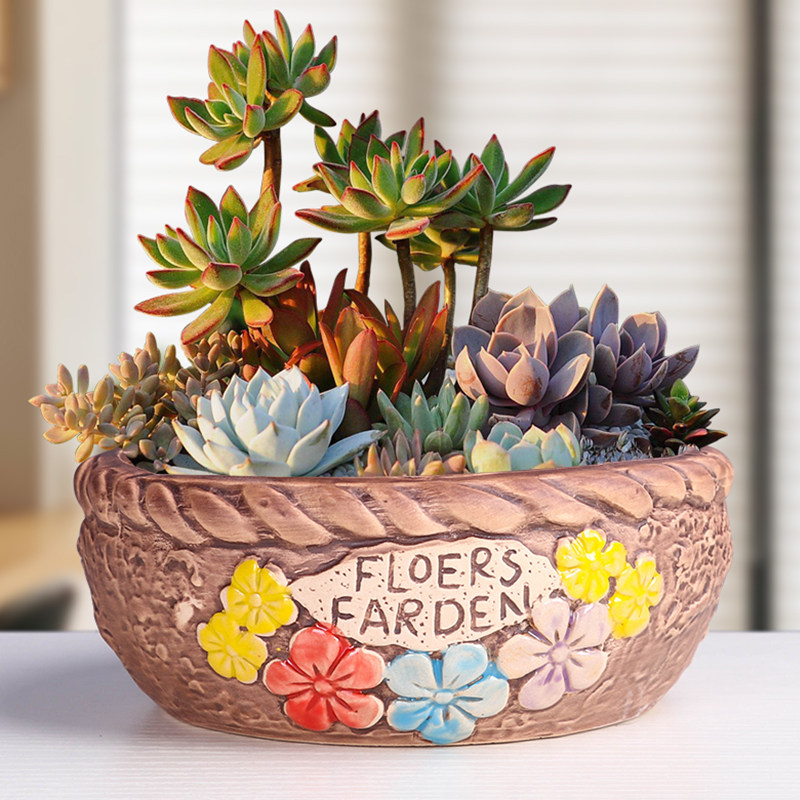 多肉花盆陶瓷拼盘特价清仓粗陶创意透气大口径拼盆宽口2021新款,鲜花速递/花卉仿真/绿植园艺,花盆,淘宝优惠券,粉丝福利购,淘宝优惠卷