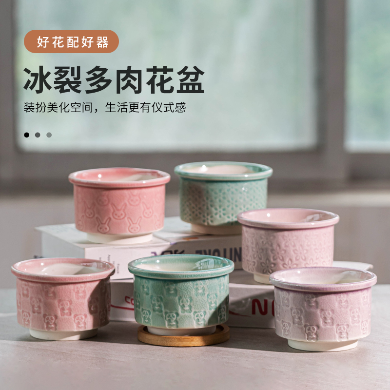 2025新款多肉小花盆肉肉植物透气陶瓷盆栽家居客厅桌面精致小摆件