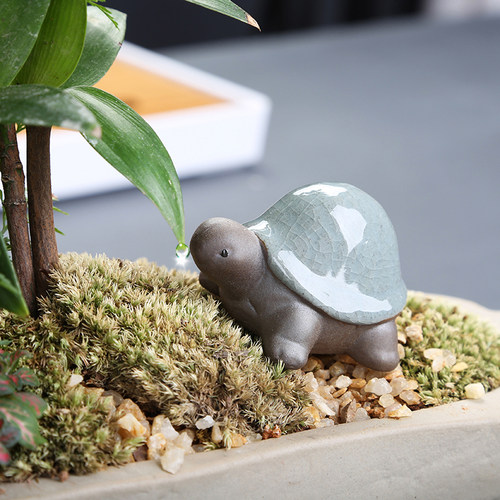 造景花宠源老舍微景观盆景摆件