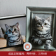 羊毛毡成品 7寸相框立体画diy来图定制 猫狗小熊猫宠物头像半身像