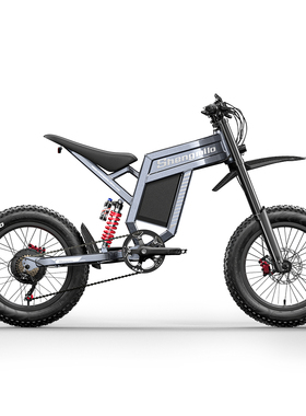 圣米洛/Shengmilo铝合金20寸电动自行车30Ah锂电成人软尾电摩