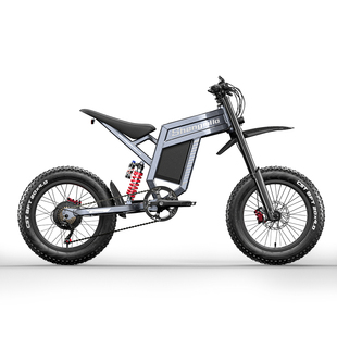 圣米洛 Shengmilo铝合金20寸电动自行车30Ah锂电成人软尾电摩