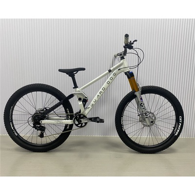 看门狗2萨摩耶26寸软尾土坡车四活塞油碟ecc花鼓飞包刷楼梯山地车