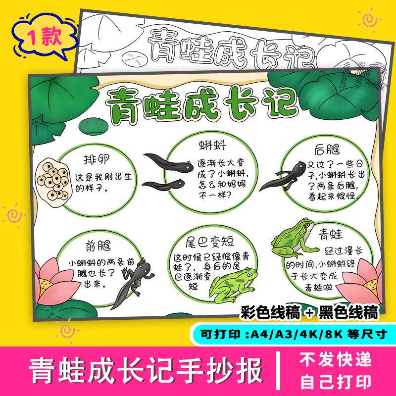 青蛙成长记手抄报观察模板小学生动物日记小蝌蚪自然生长线稿黑白