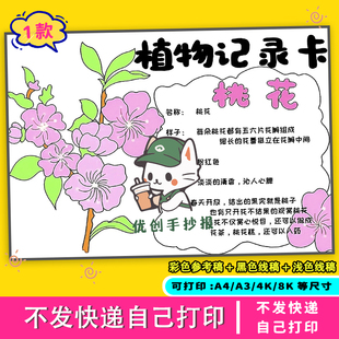 植物记录卡手抄报观察电子线稿模板自然笔记小学生电子版名片卡