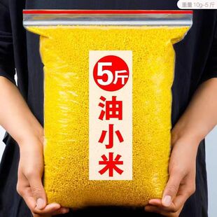 山西黄小米农家小米粗粮 2025年新米5斤散装