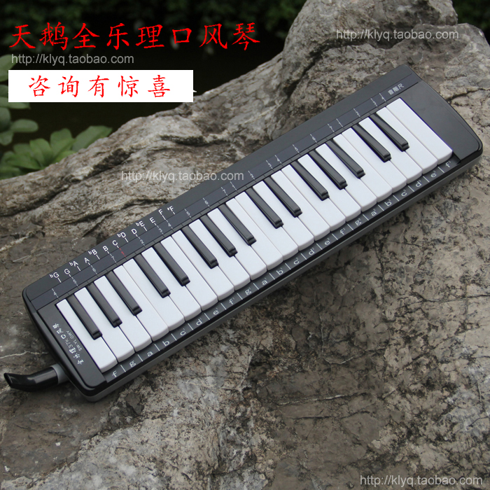 专业全乐理口风琴天鹅