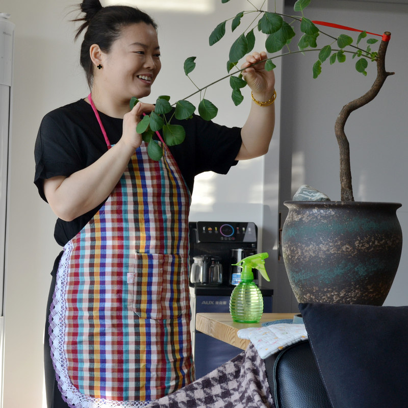 棕格全棉加密加厚老粗布围裙纯棉围兜透气吸水厨房洗衣无袖挂脖式