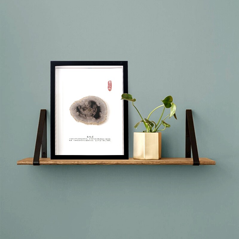 现代简约新中式展厅背景墙木化石切片挂画小众diy摆件装饰画客厅