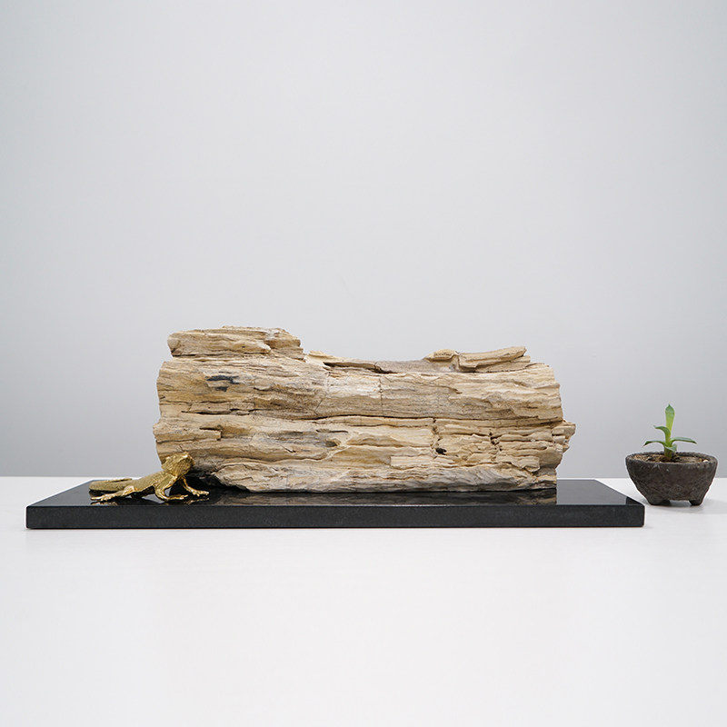 新中式玄关装饰入户摆件木化石工艺品客厅桌面案台石头摆设黑石