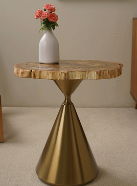 简约现代轻奢样板房售楼处装饰桌硅化木面板木化石桌子天然石头桌