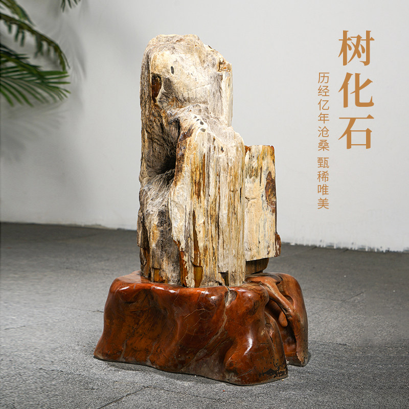 新中式别墅会所装饰收藏工艺品天然木化石硅化木石头摆件原石摆设