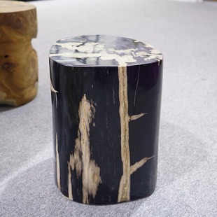 石桌石凳木化石天然硅化木摆件底座摆台家用别墅桌子石墩子