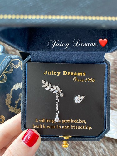 轻奢设计师法国JUICY DREAMS复古流苏水滴纯银月桂花枝项链耳钉