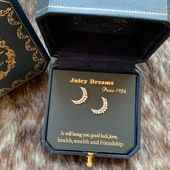 设计师轻奢JUICY DREAMS复古水晶镂空月亮许愿成真925银耳钉