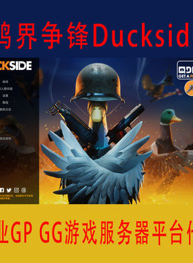 Duckside鸭界争锋服务器GGPP台服日本香港代租服务器租凭多人联网