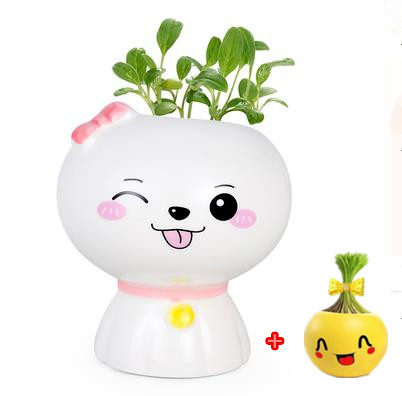 六一儿童头上长草diy娃娃小植物