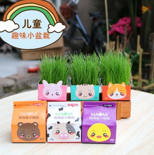 办公室桌面种植泡泡儿童diy盆栽