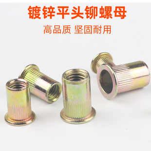 平头螺母 镀锌铆接螺帽圆柱彩锌M6卯接紧固件M3M4M5M8M10