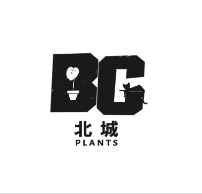 福利组合 520