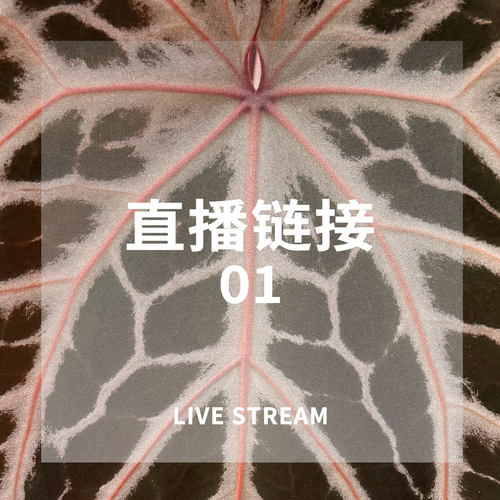 1008 21:00综合物拍1-15