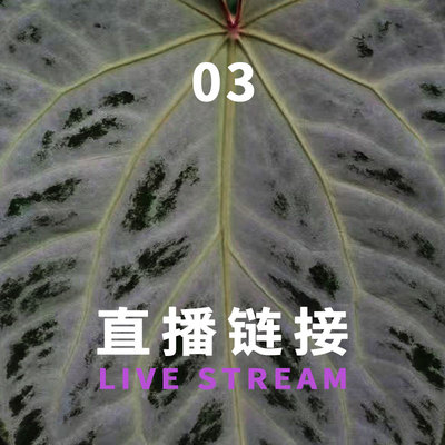 0618 20：30 福利组合618