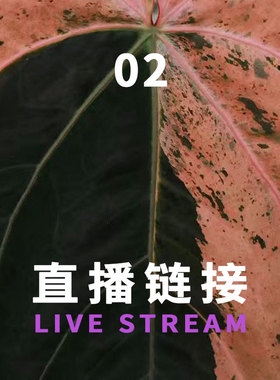 21:30   0521 福利组合