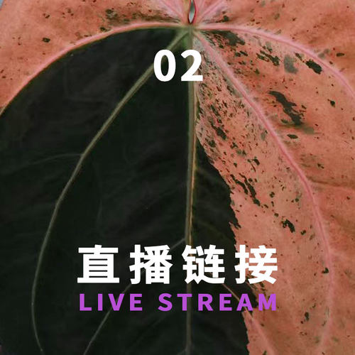 21:00   4.30 福利组合25-48