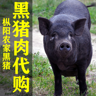 枞阳农家现杀新鲜土猪纯五花肉农村黑猪前腿后腿排骨孕妇前夹